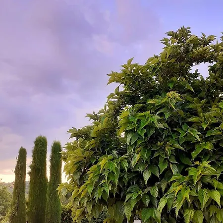 Al Casale Di Morro בית כפרי Morrovalle